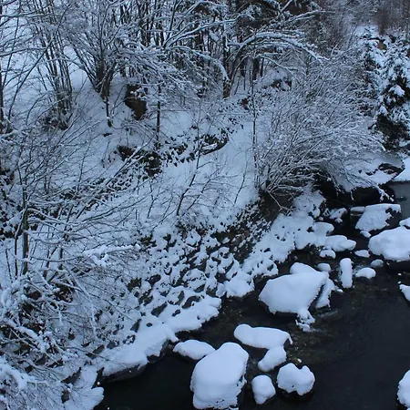 Burglauenen * グリンデルヴァルト