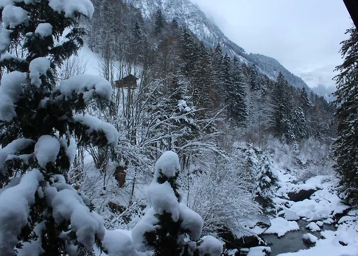 Burglauenen Apartamento