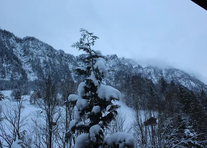 Apartment Burglauenen *