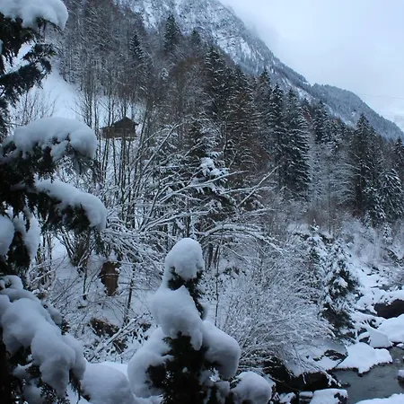 Burglauenen Apartment